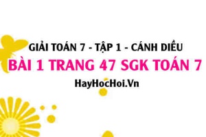 Giải bài 1 trang 47 Toán 7 Tập 1 SGK Cánh Diều